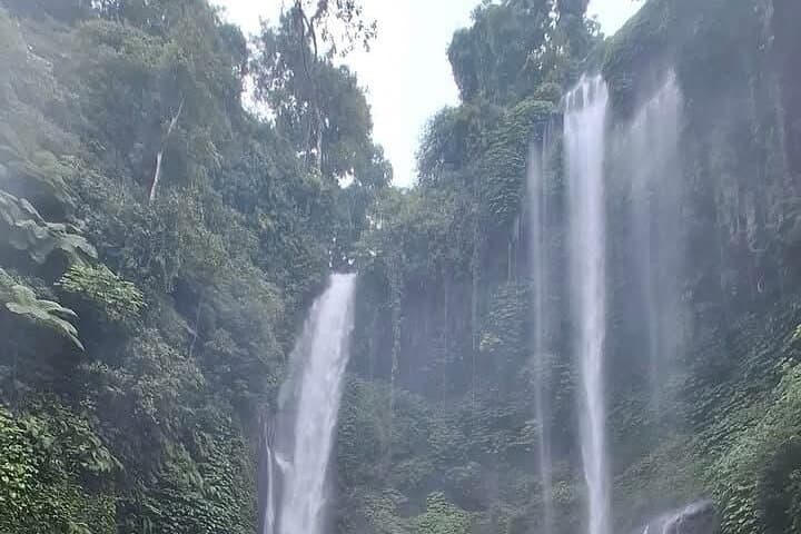 Sekumpul Waterfall Tour: Trek Bali’s Most Dramatic Falls from Ubud photo 2