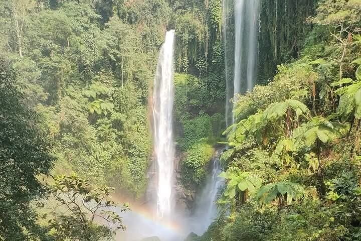 Sekumpul Waterfall Tour: Trek Bali’s Most Dramatic Falls from Ubud photo 4
