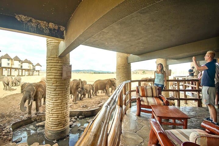 3-Day Luxury Tsavo West & Saltlick Safari from Nairobi