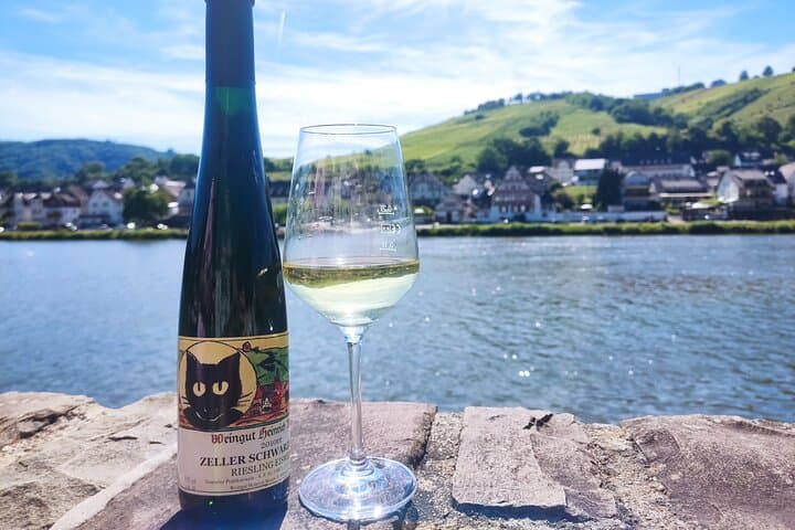 Burg Eltz & Moselle Valley Private Tour: Castle, Steep Vines and Riesling Tasting photo 4