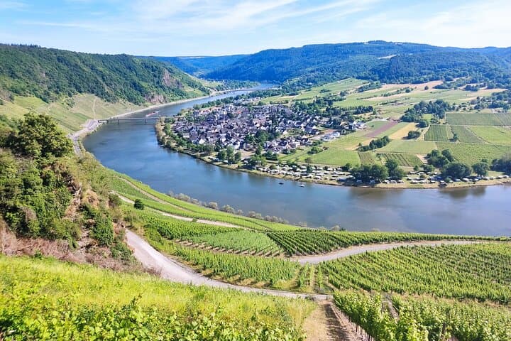Burg Eltz & Moselle Valley Private Tour: Castle, Steep Vines and Riesling Tasting photo 5