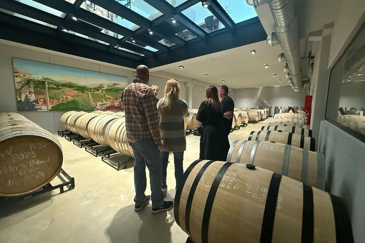 Private Tramuntana Villages and Winery Tour from Palma