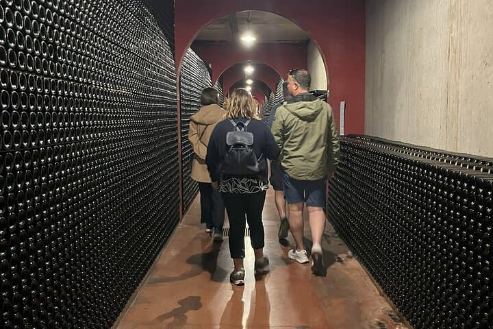 Private Tramuntana Villages and Winery Tour from Palma photo 6