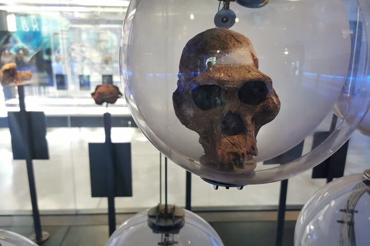 Sterkfontein Caves & Maropeng Private Tour — Cradle of Humankind Day Trip