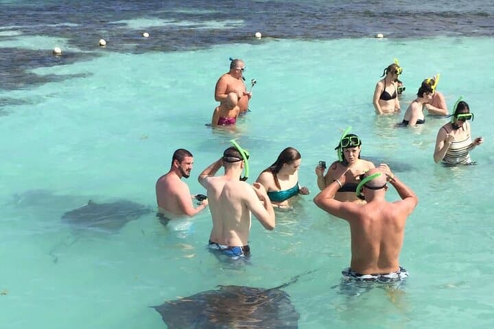 Antigua From Top to Bottom: Stingray City, Long Bay & Devil's Bridge Day Tour photo 5