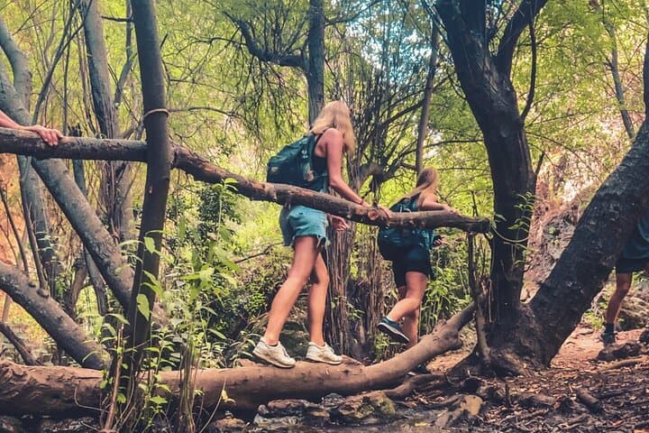 Punta Cana Los Haitises Hike & Mangrove Kayak — Montaña Redonda to Yanigua