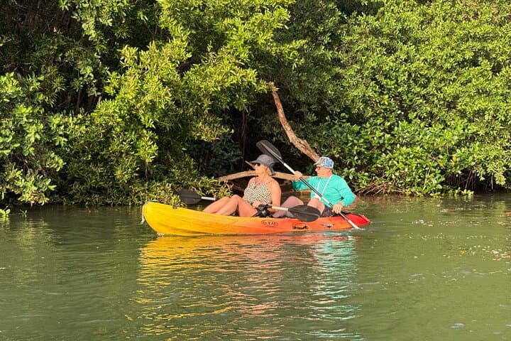 Mangrove River Kayak Tour Samara and Carrillo — Río Ora Wildlife Paddle photo 2