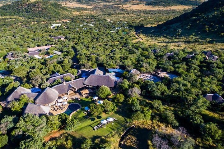 4-Day Pilanesberg Safari at Ivory Tree Game Lodge — Big Five Safari Near Johannesburg photo 3