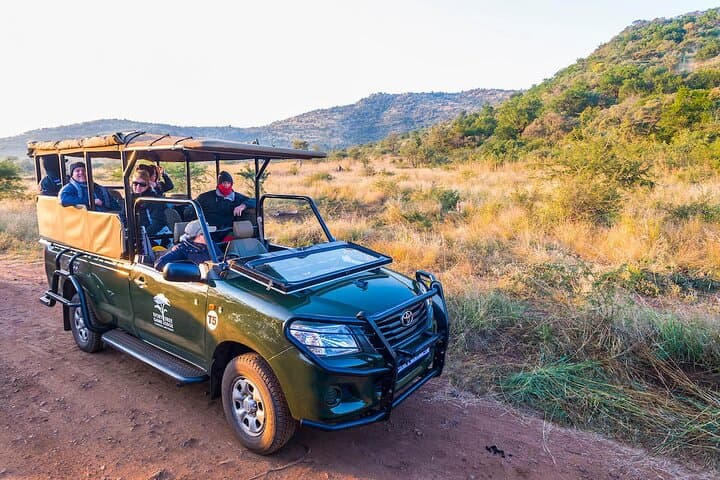 4-Day Pilanesberg Safari at Ivory Tree Game Lodge — Big Five Safari Near Johannesburg