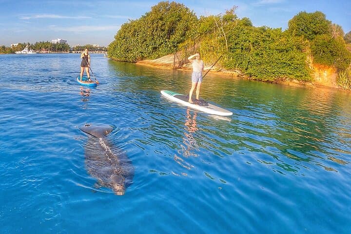 Paddle Jupiter Island: Private Guided Paddle Boarding Tour on the Indian River Lagoon photo 6