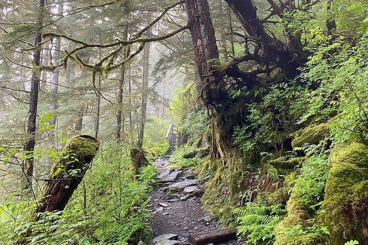 Ketchikan Rainforest & Beach Wildlife Walk: Lunch Creek Falls to Coastal Cove photo 2