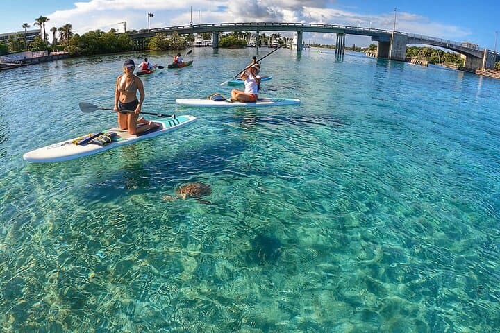Paddle Jupiter Island: Private Guided Paddle Boarding Tour on the Indian River Lagoon