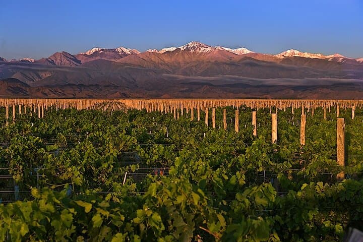 3-Day Mendoza Wine & Mountains: Malbec Tasting & Andes High-Mountain Day Trip