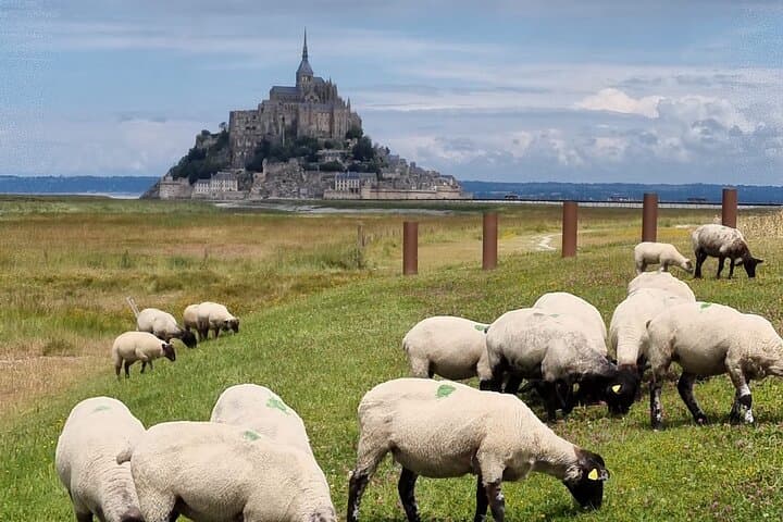 Mont Saint-Michel 2-Hour Guided Walk with Abbey Ticket — Historic Bay Tour photo 2