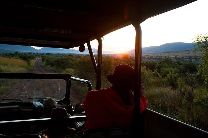 Pilanesberg in Four Days: Luxury Safari at Shepherd’s Tree Lodge photo 2