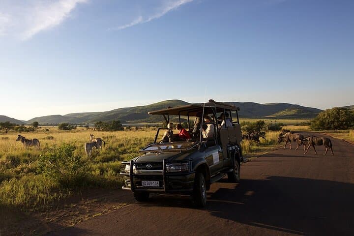 Luxury 3-Day Pilanesberg Safari at Shepherd's Tree Game Lodge