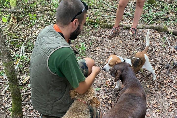 Guided Truffle Hunting Tour from Ljubljana — Istria Truffle Search & Tasting photo 4