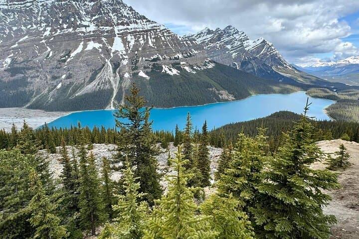 Banff to Columbia Icefield Day Trip: Peyto Lake, Crowfoot Glacier & Bow Lake photo 3