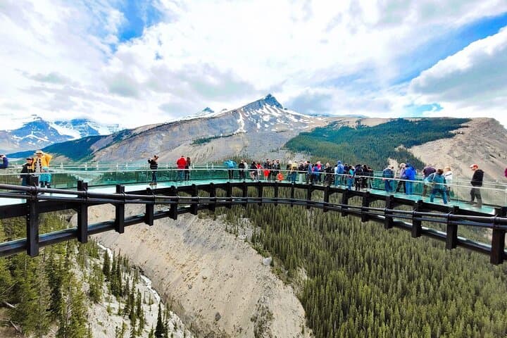 Banff to Columbia Icefield Day Trip: Peyto Lake, Crowfoot Glacier & Bow Lake photo 6