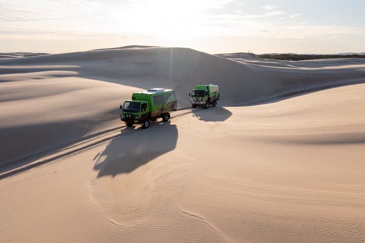 Unlimited Sandboarding on Stockton Dunes — Birubi Beach Sandboard Adventure