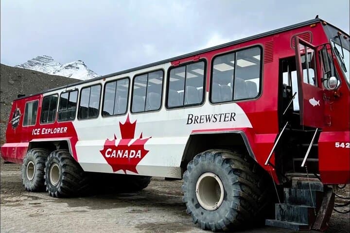 Banff to Columbia Icefield Day Trip: Peyto Lake, Crowfoot Glacier & Bow Lake