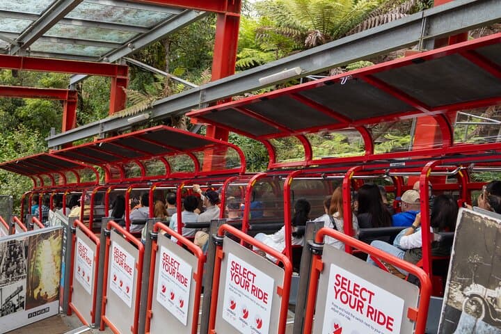 Blue Mountains Day Tour: Sydney Zoo, Scenic World & Three Sisters photo 6