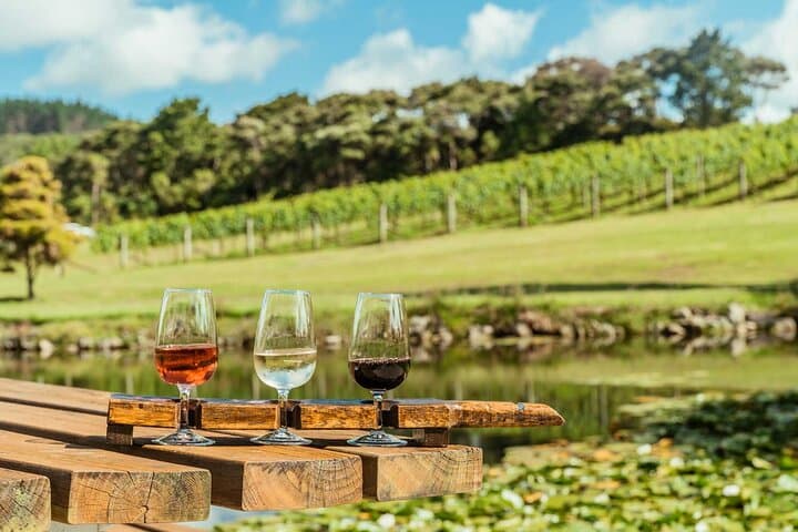Auckland Private Escape: Golf, Wine and Hot Pools Day Tour