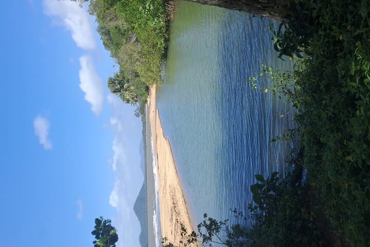 Half-Day Cairns City Tour: Botanical Gardens, Esplanade & Crystal Cascade photo 6