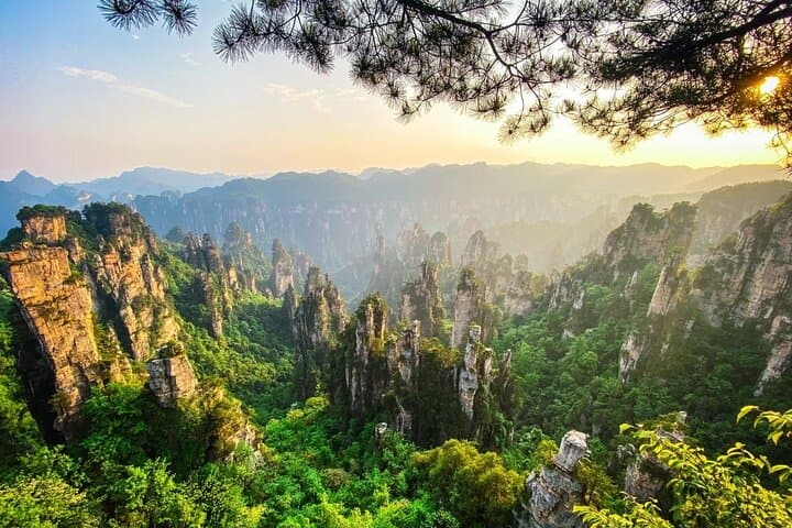 Zhangjiajie Avatar Mountains & Glass Bridge — Private 1‑Day Adventure photo 3
