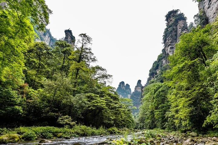 Zhangjiajie Avatar Mountains & Glass Bridge — Private 1‑Day Adventure photo 4