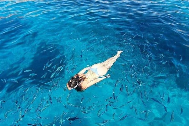 Full-Day Sailing in La Maddalena Archipelago: Spargi, Budelli & Santa Maria photo 5