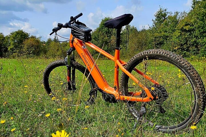 Istria E‑Bike Rentals from Pula: Ride Haibike Through Olive Groves & Coast photo 5