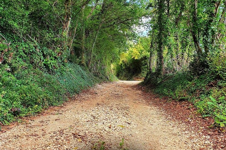 Istria E‑Bike Rentals from Pula: Ride Haibike Through Olive Groves & Coast photo 3