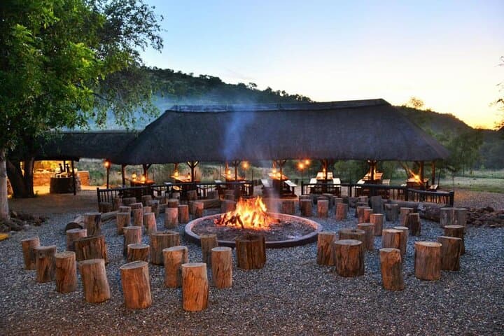 Pilanesberg in Four Days: Luxury Safari at Shepherd’s Tree Lodge photo 3