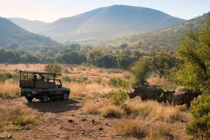 2-Day Pilanesberg Safari at Bakubung Bush Lodge — Big Five in a Malaria-Free Crater