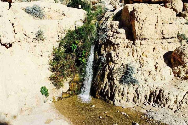 Masada, Ein Gedi & Dead Sea: Private Day Tour from Jerusalem photo 6