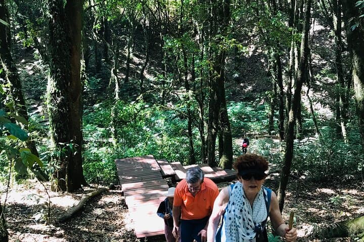 Doi Inthanon Day Trip: Thailand’s Highest Peak, Twin Pagodas & Waterfalls photo 4