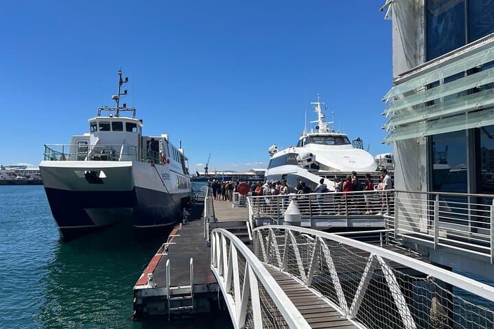 Half-Day Robben Island Tour from Cape Town — Prebooked Ticket & Pickup photo 6