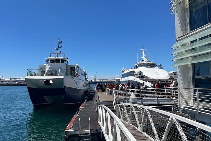 3-Day Cape Town Highlights: Table Mountain, Robben Island & Cape Winelands Tour