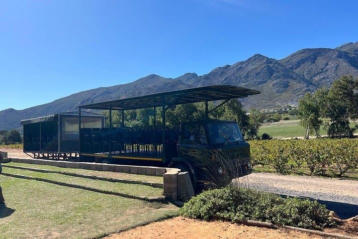Stellenbosch & Franschhoek Tram Wine Tour: Hop-On Hop-Off Tasting Experience photo 1