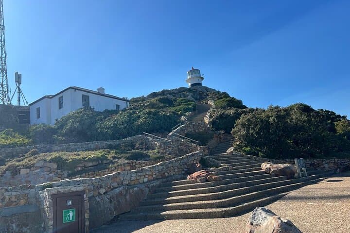 Full-Day Cape Point & Boulders Beach Tour — Penguins, Chapman’s Peak Drive, and Coastal Views photo 4