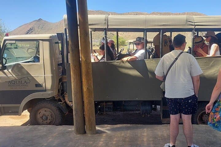 Aquila Safari from Cape Town: Half-Day Big Five Wildlife Experience photo 4
