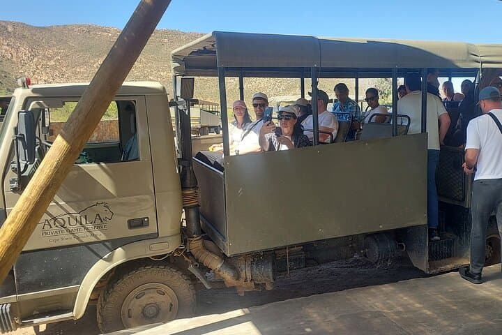 Aquila Safari from Cape Town: Half-Day Big Five Wildlife Experience photo 2