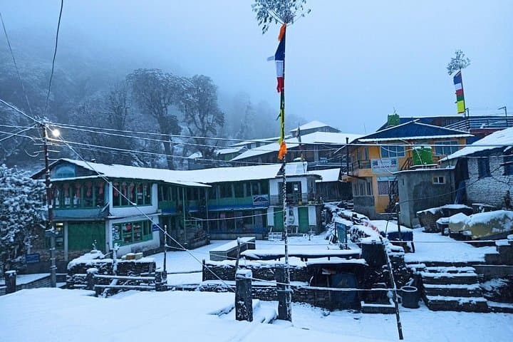 Poon Hill Trek: 4-Day Annapurna Sunrise Trek from Pokhara photo 1