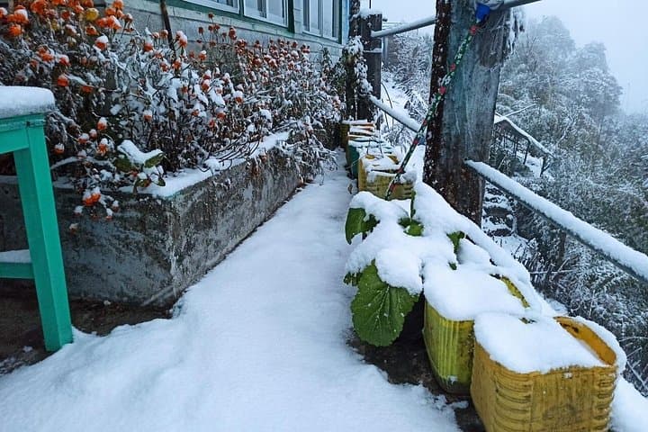 Poon Hill Trek: 4-Day Annapurna Sunrise Trek from Pokhara photo 4