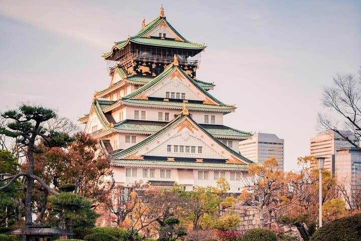 Osaka in a Day: Private Car Tour of Castle, Temples & Neon Canals photo 1
