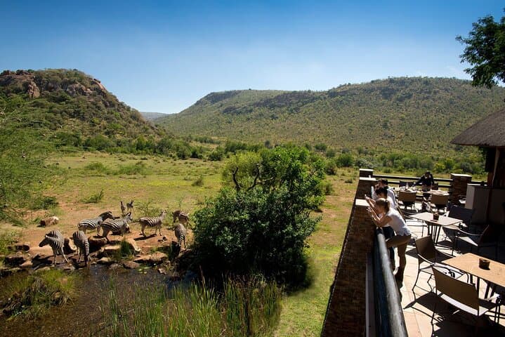 4-Day Pilanesberg Safari at Kwa Maritane Lodge — Big Five Game Drives & Underground Hide