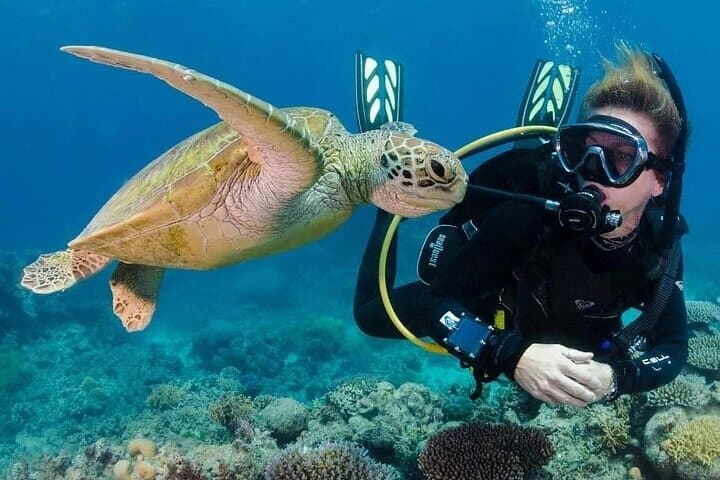 PADI Open Water Diver Course in Marsa Alam - 3-Day Red Sea Certification photo 2