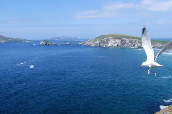 Half-Day Private Tour of the Dingle Peninsula — Slea Head, Conor Pass & Ancient Sites photo 4