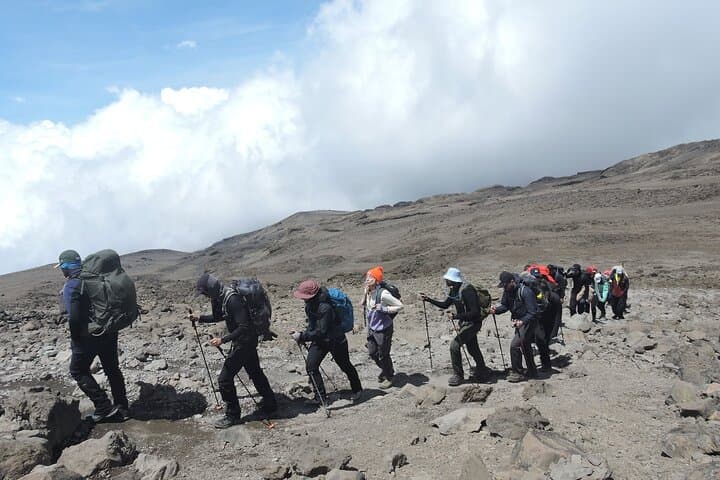 Lemosho Route 8-Day Kilimanjaro Trek: Private Guided Summit via Barafu and Mweka photo 3